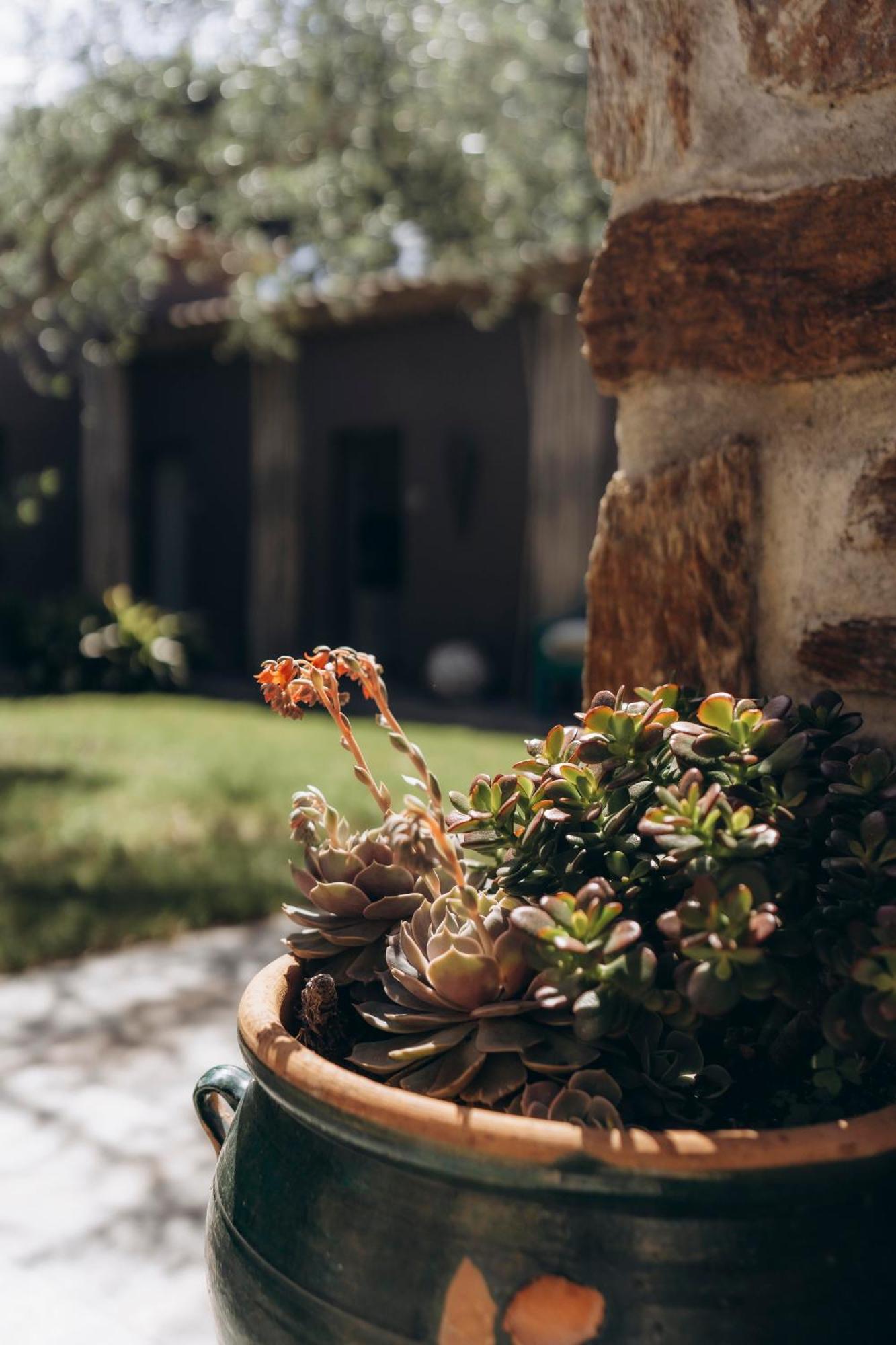 La Villa D'Andrea Ramatuelle Zewnętrze zdjęcie